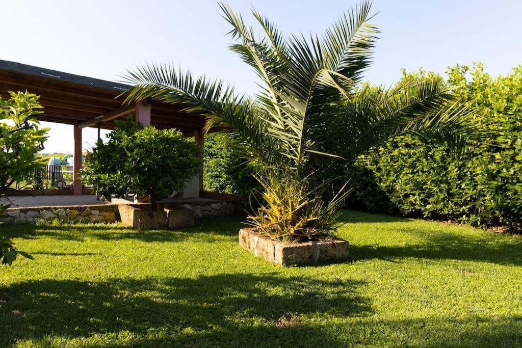 קאפאנורי Casale Toscano Piscina Wi-Fi מראה חיצוני תמונה